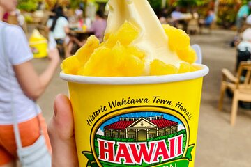 Private Half-Day Circle Island Highlights Tour in Oahu