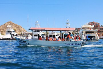 Tour of the Cabo San Lucas Collective Arch