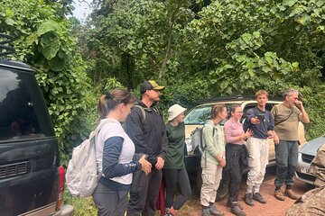 3-Day Gorilla Experience in Bwindi Impenetrable Forest