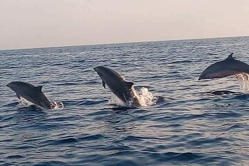 Bali and Lovina with Sunrise Dolphin Tour and Snorkeling