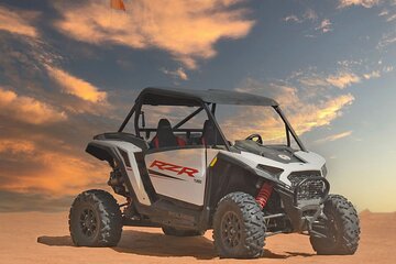 Desert Safari with BBQ Dinner and Dune Buggy Ride