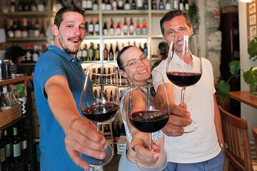 Oporto Wine Tour & One-Hour Fado Experience Small Group Tour