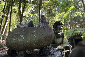 Ubud Harmony Tour - private tour