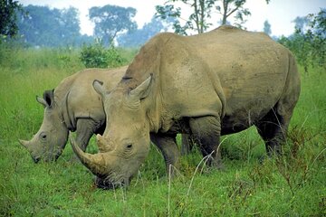 12 Day South Africa Overland Tour from Cape Town to Johannesburg