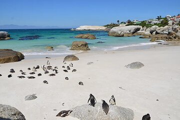 Hoedspruit Multi-Day Cape Town Tour 