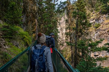 Johnston Canyon Evening Tour