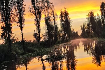 Xochimilco Ecotourism at Dawn in Canoe and Organic Breakfast 