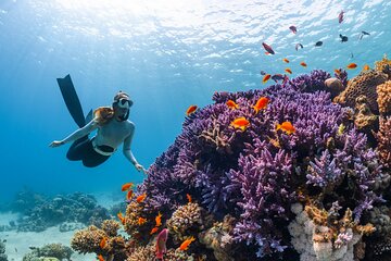 Tulum Jaguar Park Full-Day: Ruins, Park & Reef Snorkeling