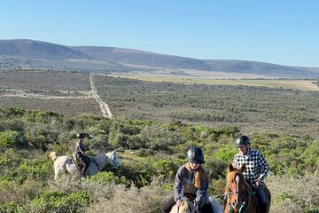 West Coast farm and nature ride