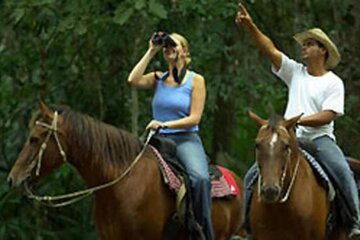 Tulum Jungle Horseback, Cenote & Turtle Swim