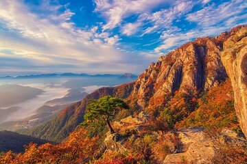 Daedunsan Provincial Park Autumn Foliage Day Tour from Seoul
