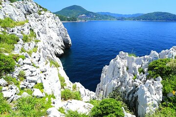 Osaka to Wakayama, Japan One-Day Chartered Tour