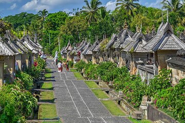 Discover Kintamani Volcano, Temples and Balinese Culture in a Day
