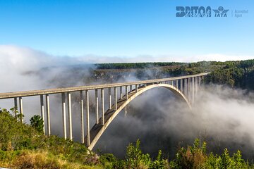 6-Day Garden Route with stays - from Cape Town to Tsitsikamma