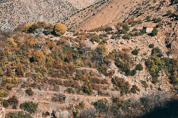 Ourika Valley Day Trip From Marrakech - Ourika Valley Excursion