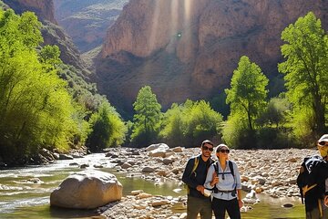 Marrakech to Atlas Mountains: Day Tour with Lunch & Camel Ride