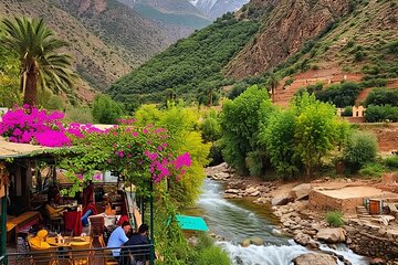 2-Day Private Tour: Marrakech & Atlas Mountains