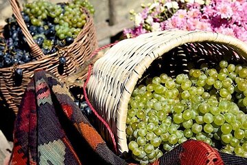 Rtveli Celebration Autumn Wine Harvest Festival in Georgia