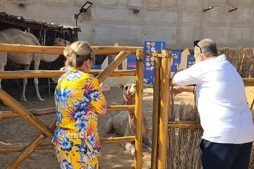 Half Day Dubai City Tour of Abra, Old Souks, Frame, & Blue Mosque