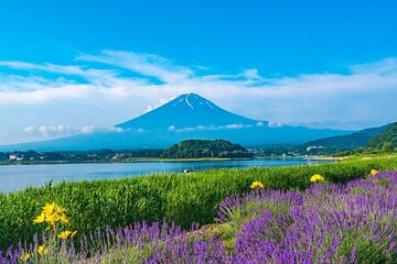 Mt Fuji Views, Fruit Picking and Ropeway Experience Day Tour