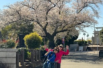 Historic Temple・traditional Japanese garden＆ Eating around at a shopping strip