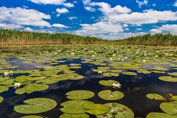 PREMIUM TOUR Bucharest The Heart of Danube Delta