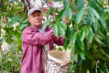 Full Day of Coffee Treats in Panama City