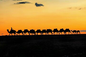 Quad Bike and Camel Tours in the Agafay Desert with Dinner Show