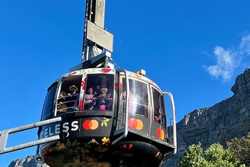 Cape Town Table Mountain Cape Point Penguins Full-Day Private Tour