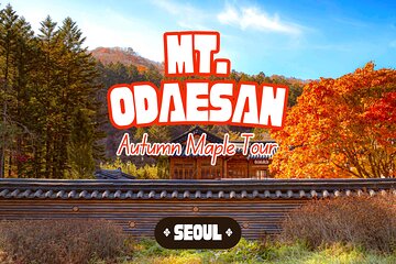 Odaesan National Park Autumn Foliage Tour(Drama Goblin Film Site)