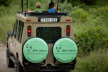 3 Days Group Joining Serengeti and Ngorongoro Safari from Arusha