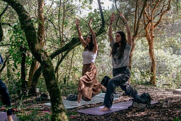 Private Yoga and Sonotherapy Session in the Sacred Valley