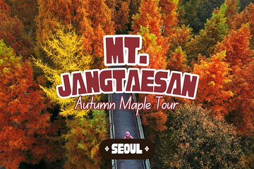 Jangtaesan Recreational Forest Autumn Foliage Day Tour from Seoul