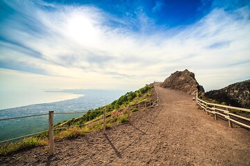Vesuvio Skip the Line Ticket and Guidebook