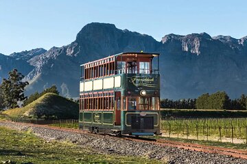 8 Days Luxury Cape Town Johannesburg and Kruger Safari