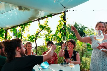 Prosecco Origins Wine Experience