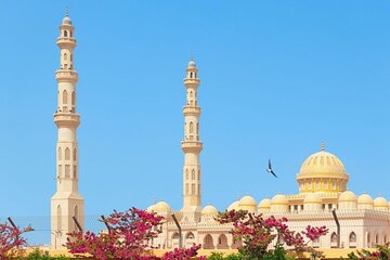 VIP City Tour with Big Mosque, Seafood Lunch & Shopping-Hurghada 