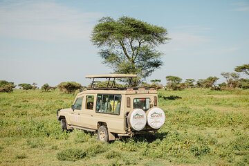 Private 4-Day Wildlife Encounter in Tanzania