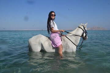 Two-Hour Horseback Ride Along the Sea with Transfer - Hurghada