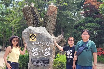 Customized Private Nami island with optional tour