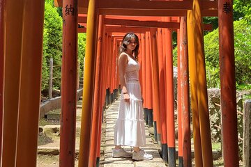 Tokyo Private Tour 
