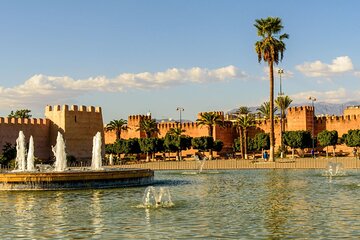 Taroudant Half Day : Medina+ Souks & Walls & Goats in argan Trees