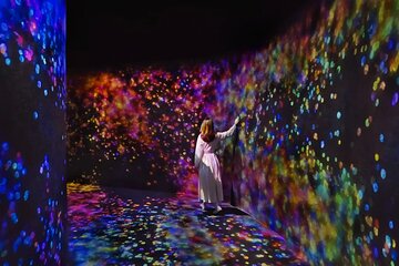 Private Abu Dhabi City Tour with TeamLab Phenomena Abu Dhabi