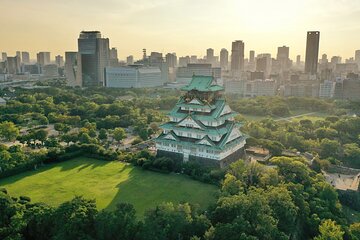 Osaka Castle Walking Tour and Castle Tower Admission