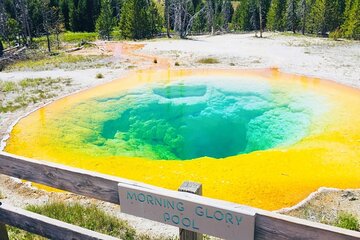 Salt Lake City to Yellowstone and Mt Rushmore 4 Day Tour