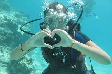 Underwater Discovery for Beginners – Full Day Diving with Lunch