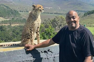 Breathtaking Whales, cheetahs and Penguins encounters