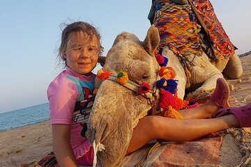 2-Hour Camel Ride Adventure Desert & Sea with Transfers –Hurghada