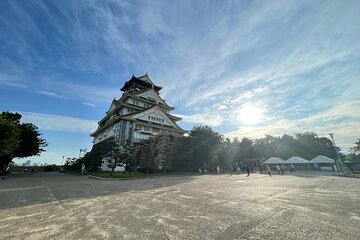 Osaka Full-Day Experience with castle, food, tea and temple