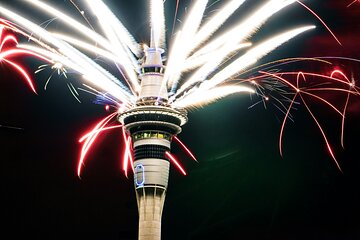 Auckland Half Day Tour Through Urban Wonders